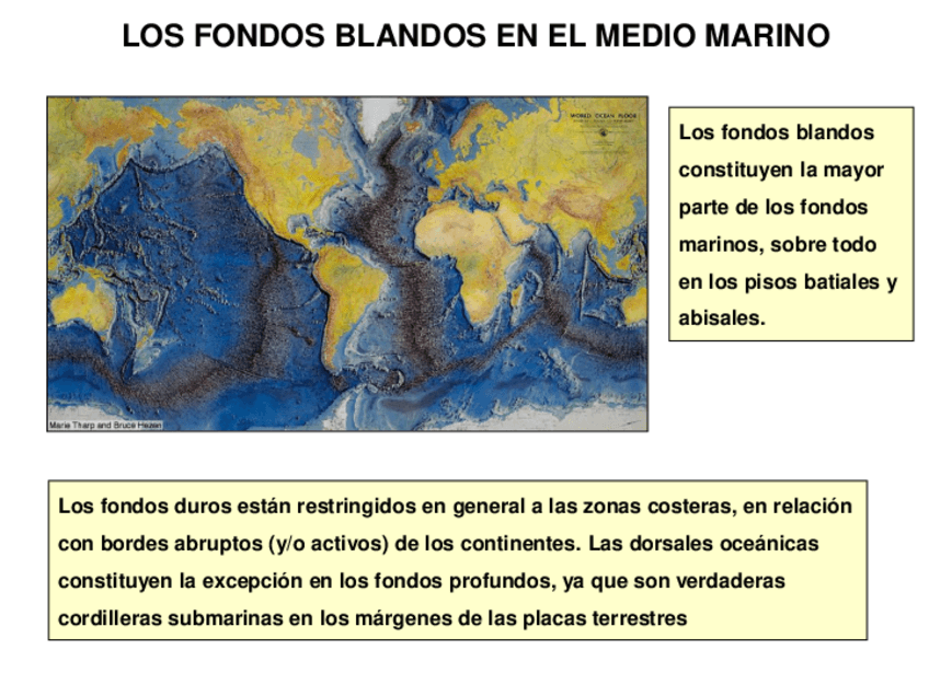 Miniatura del documento TEMA-15-BFC.pdf