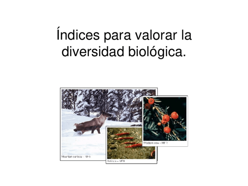 Miniatura del documento TEMA-8-BFC.pdf