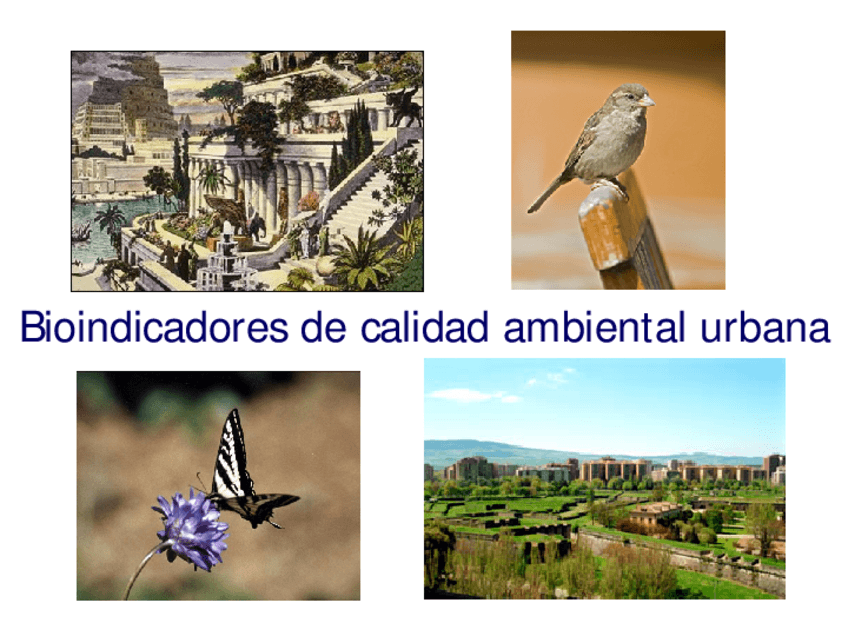 Miniatura del documento TEMA-9-BFC.pdf