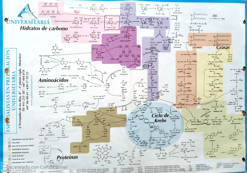Miniatura del documento CamScanner-06-08-2020-18.jpg