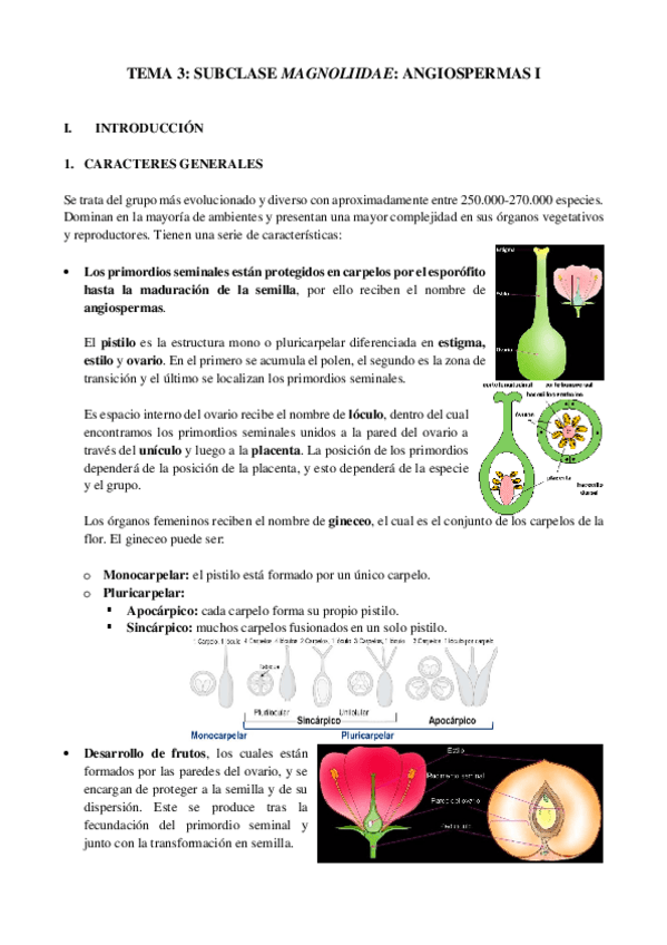 Miniatura del documento Resumen-tema-3-botanica-II.pdf