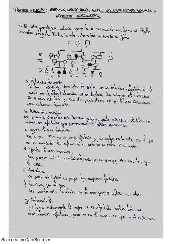 Miniatura del documento relación problemas genética I.pdf