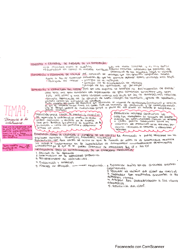 Miniatura del documento OGE-esquema-Tema-9.pdf
