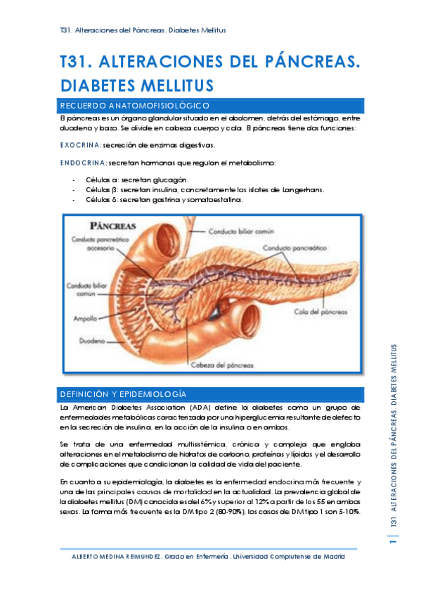Miniatura del documento T31. Alteraciones del Páncreas. Diabetes Mellitus.pdf