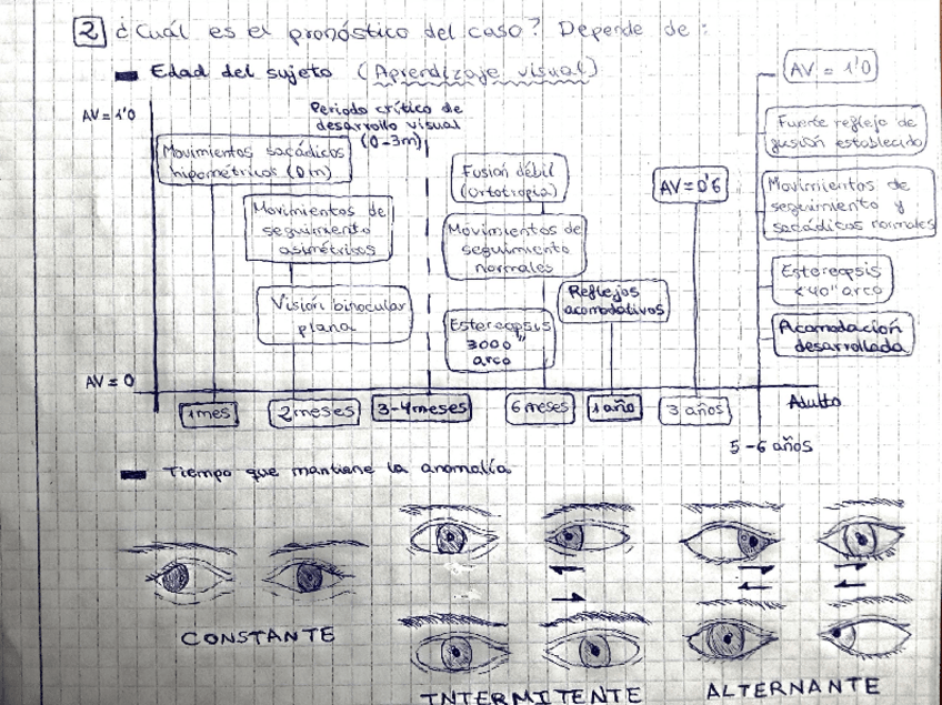 Miniatura del documento Scan 4_1_17 18_13.pdf