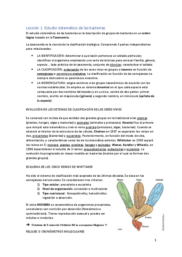 Miniatura del documento APUNTES-MICRO-II.pdf