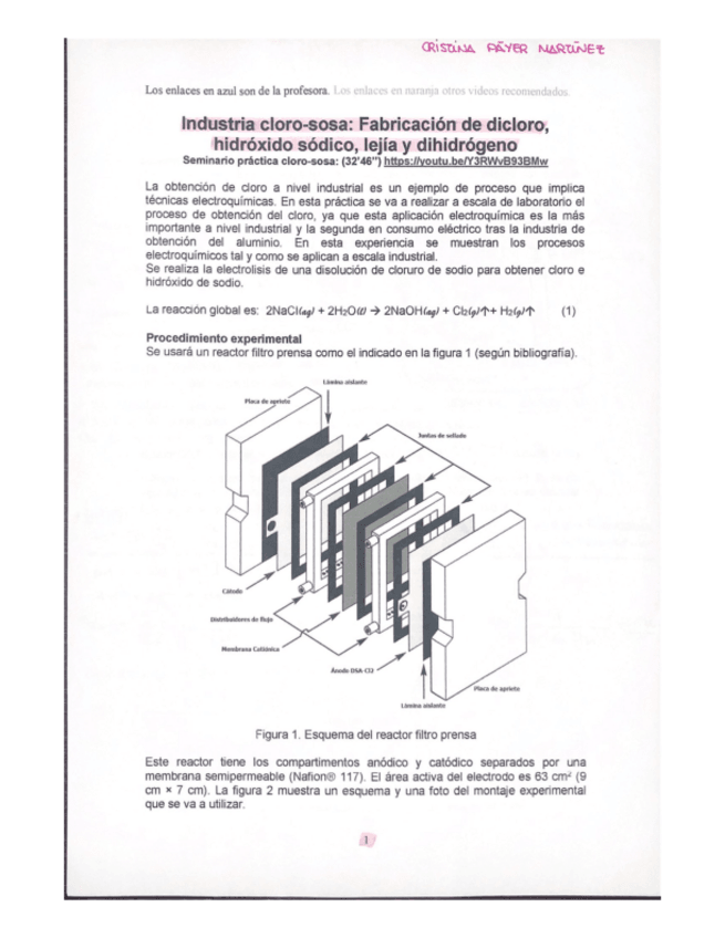 Miniatura del documento INDUSTRIA-CLORO-SOSA.pdf