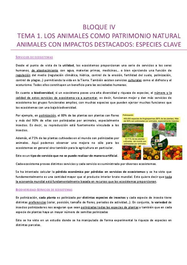 Miniatura del documento IV-PATRIMONIO-CONSERVACION.pdf