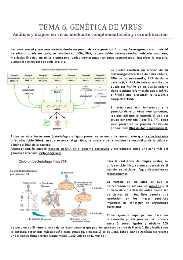 Miniatura del documento TEMA-6.pdf