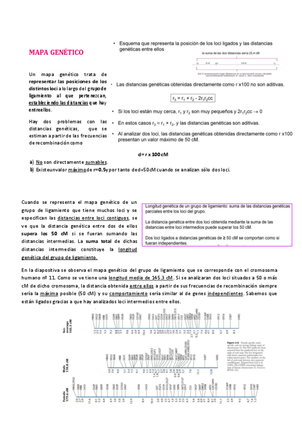 Miniatura del documento TEMA-5-II.pdf