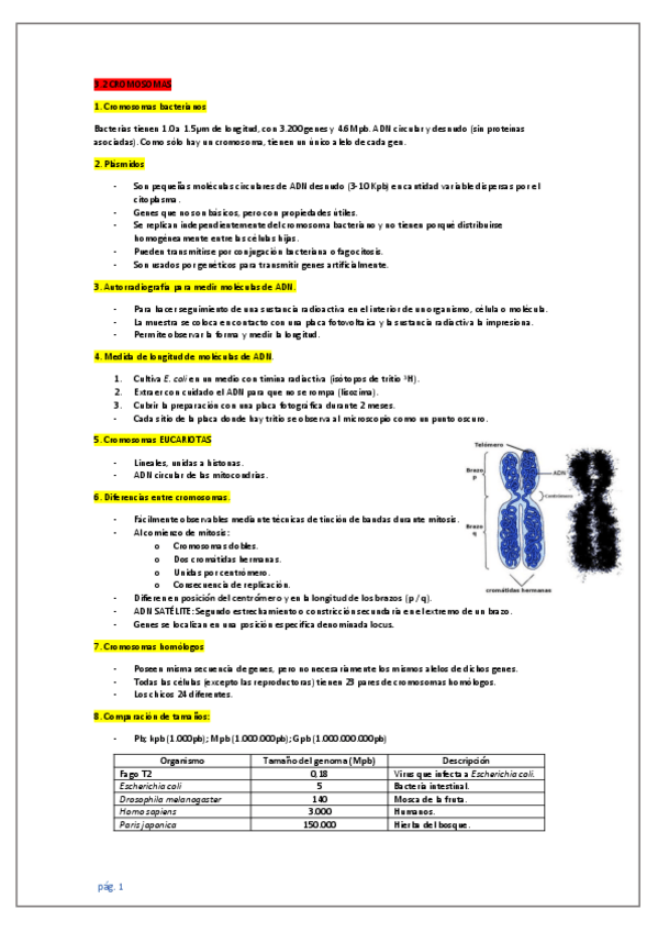 Miniatura del documento IB-biologia-3.pdf