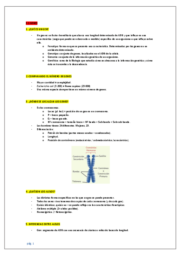 Miniatura del documento IB-biologia-Unidad-3.pdf