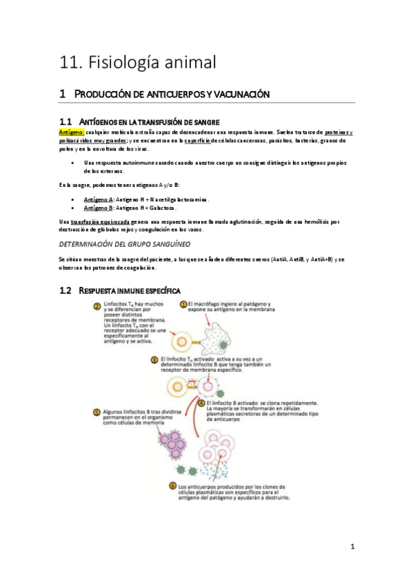Miniatura del documento IB-biologia-Unidad-11.pdf