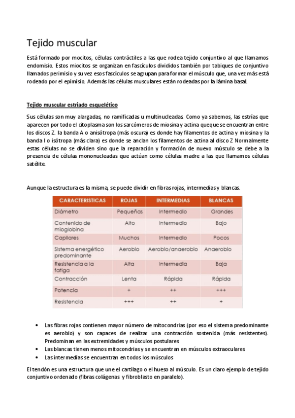 Miniatura del documento Tejido-muscular.pdf