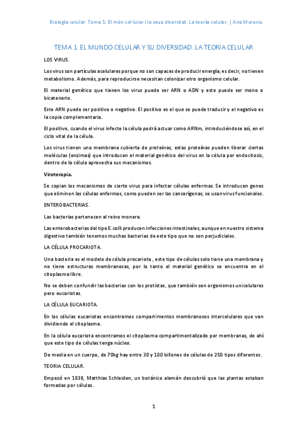 Miniatura del documento 1.pdf