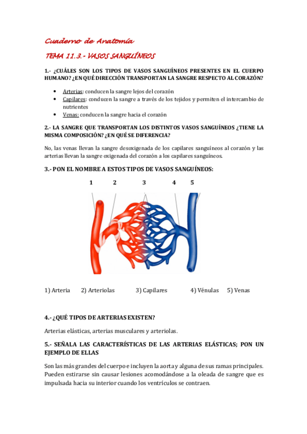 Miniatura del documento TEMA-11.pdf