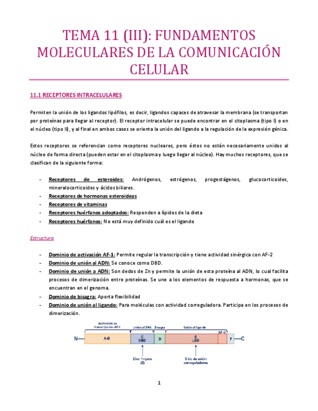 Miniatura del documento TEMA-11-III-bueno.pdf