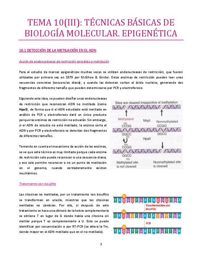 Miniatura del documento TEMA-10-III-bueno.pdf