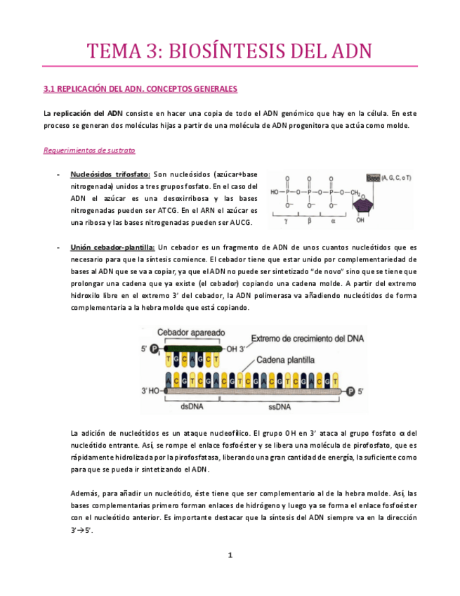 Miniatura del documento TEMA-3-bueno.pdf