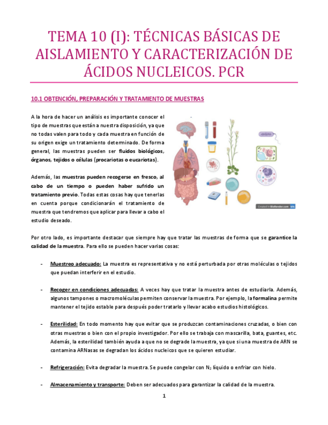 Miniatura del documento TEMA-10-I-bueno.pdf