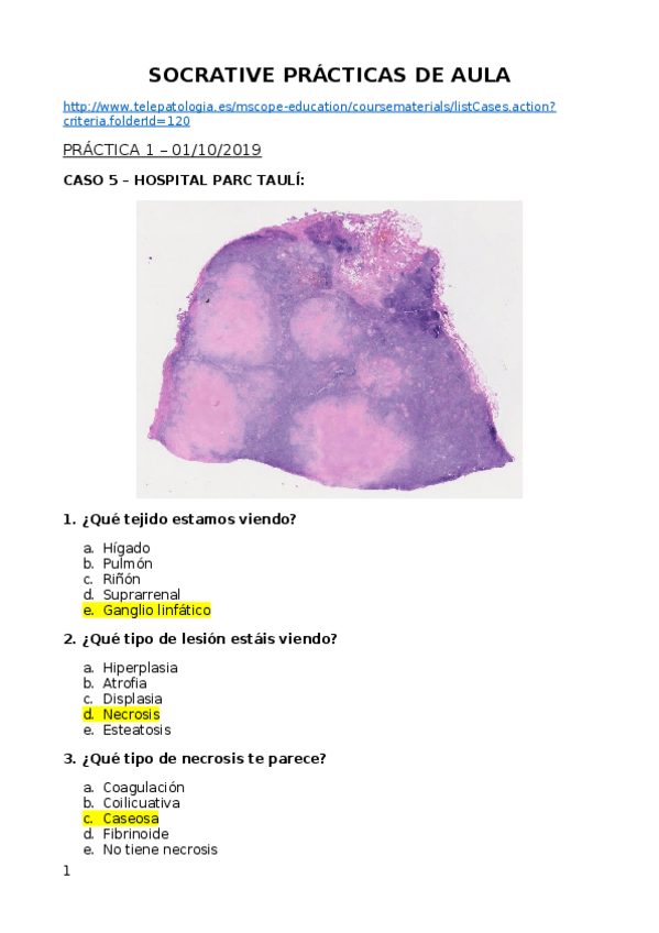 Miniatura del documento SOCRATIVE-PRACTICAS-DE-AULA.docx