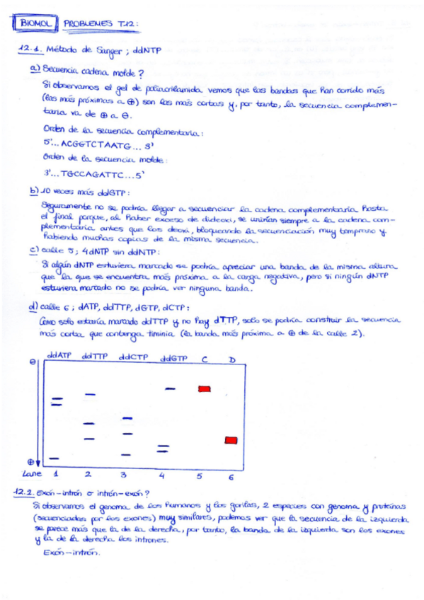 Miniatura del documento Problemes-T12-BML19-20.pdf