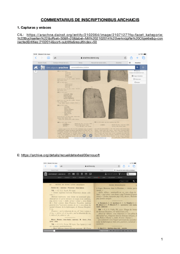 Miniatura del documento Commentarius-de-inscriptonibus-archaicis.pdf