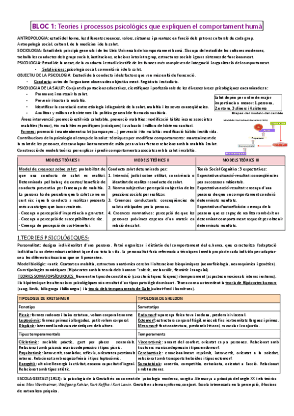 Miniatura del documento RESUM-TOT-CURS-PSICOSOCIALS.pdf