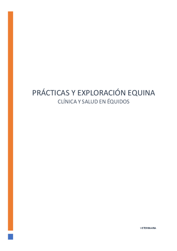 Miniatura del documento Practicas-CSE.pdf