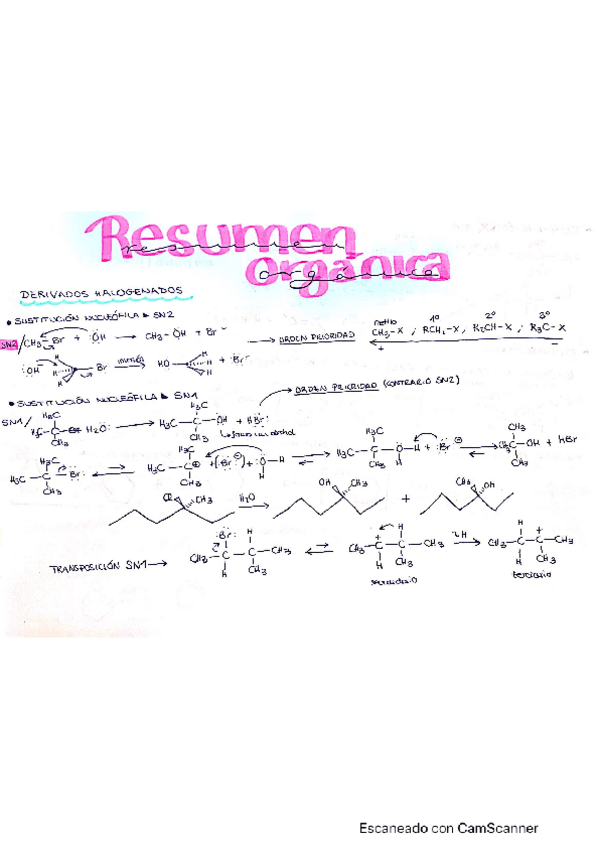 Miniatura del documento RESUMEN-ORGANICA-PARTE-2.pdf