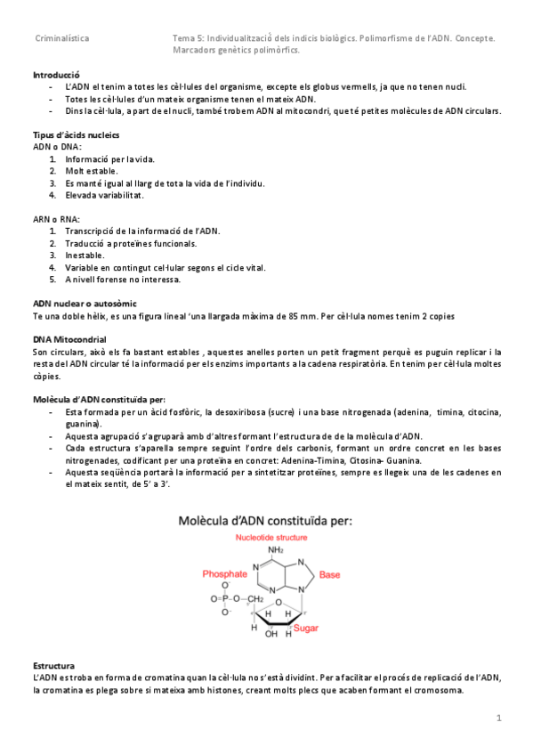 Miniatura del documento Tema-5.pdf