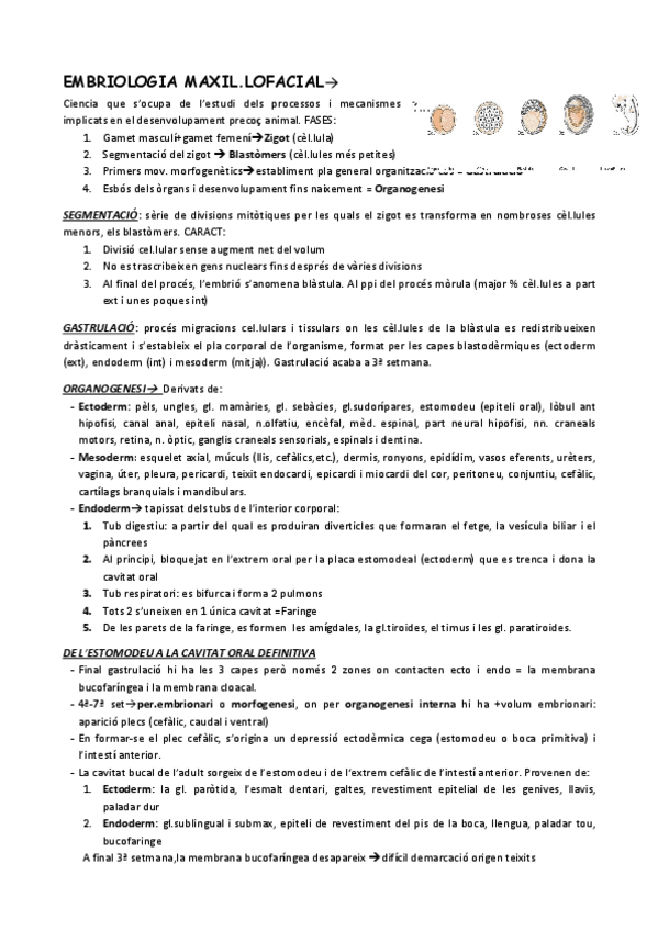 Miniatura del documento UF3-NF1-EMBRIOLOGIA-MAXILOFACIAL.pdf