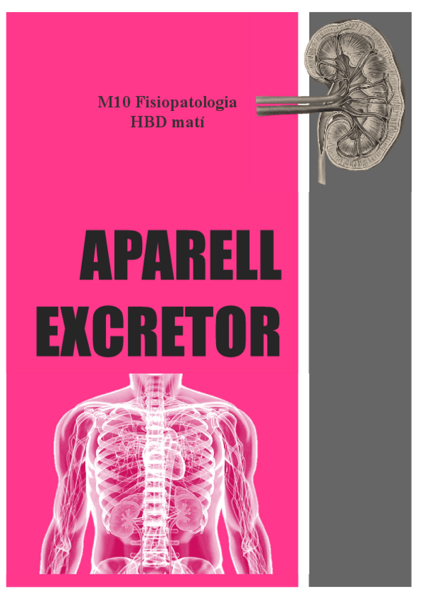Miniatura del documento TREBALL-APARELL-EXCRETOR.pdf
