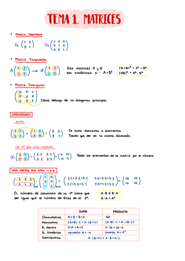 Miniatura del documento Esquema Matrices