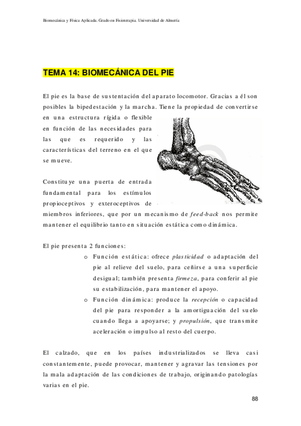 Miniatura del documento 14-Examen-pie.pdf