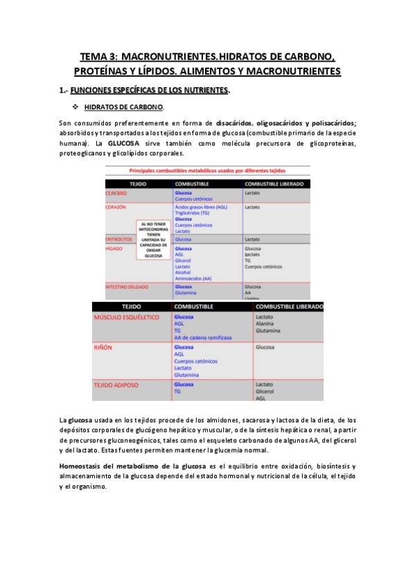Miniatura del documento TEMA-3.pdf