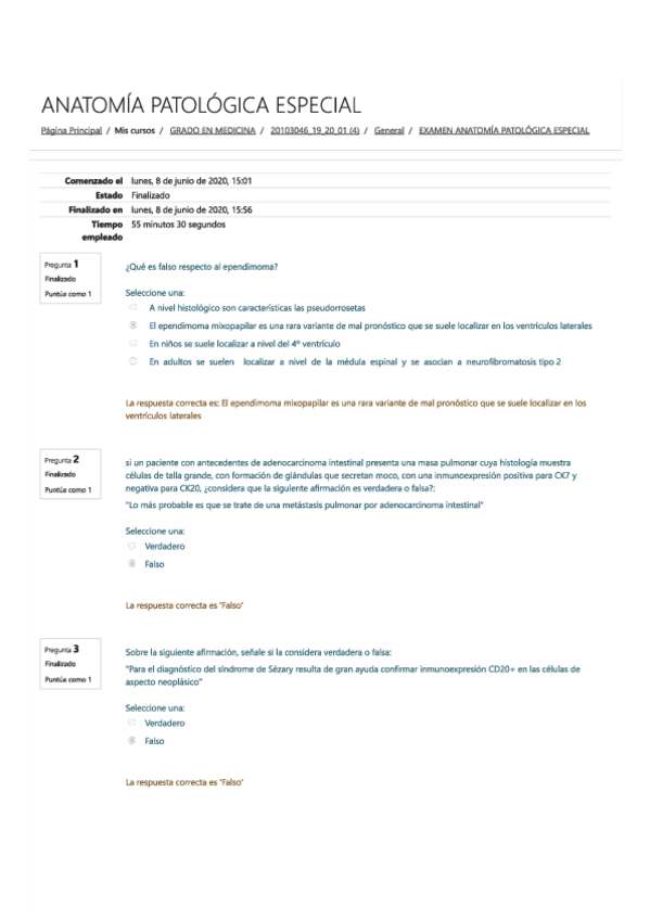 Miniatura del documento 2020.pdf