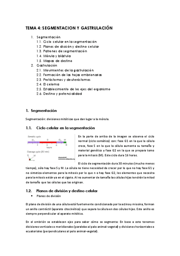 Miniatura del documento Tema-4.pdf