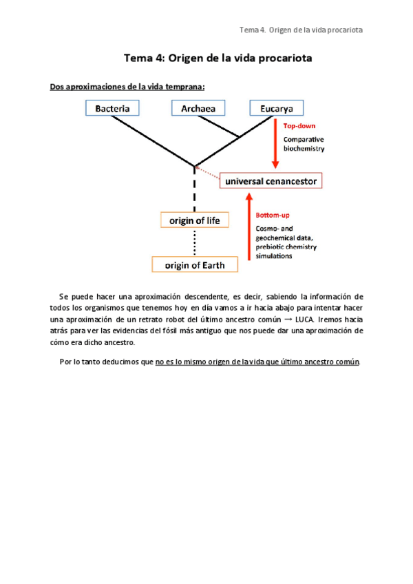Miniatura del documento Tema 4. Origen célula procariota