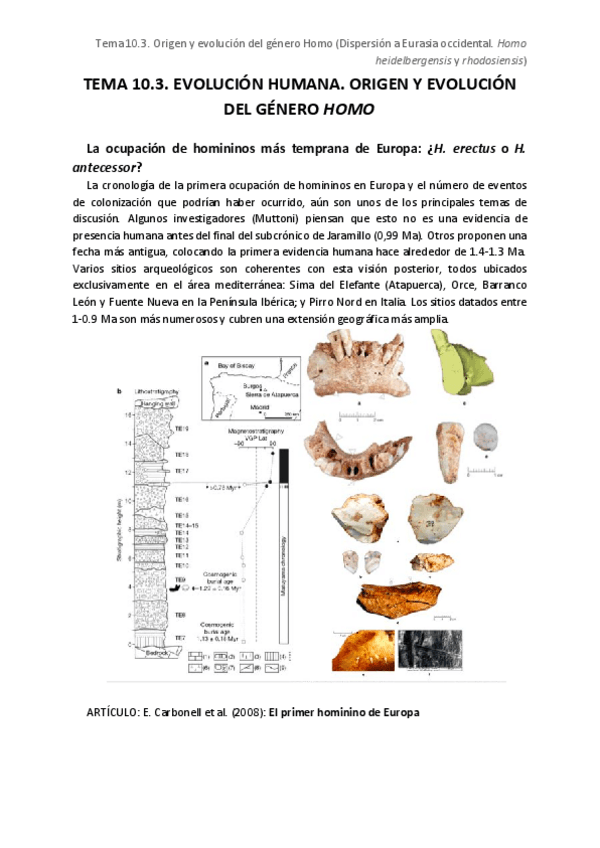 Miniatura del documento TEMA-10.pdf