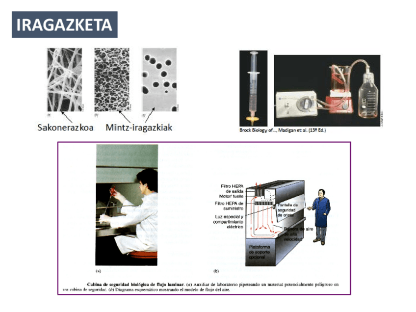 Miniatura del documento Eragile-fisikoak-Taula.pdf