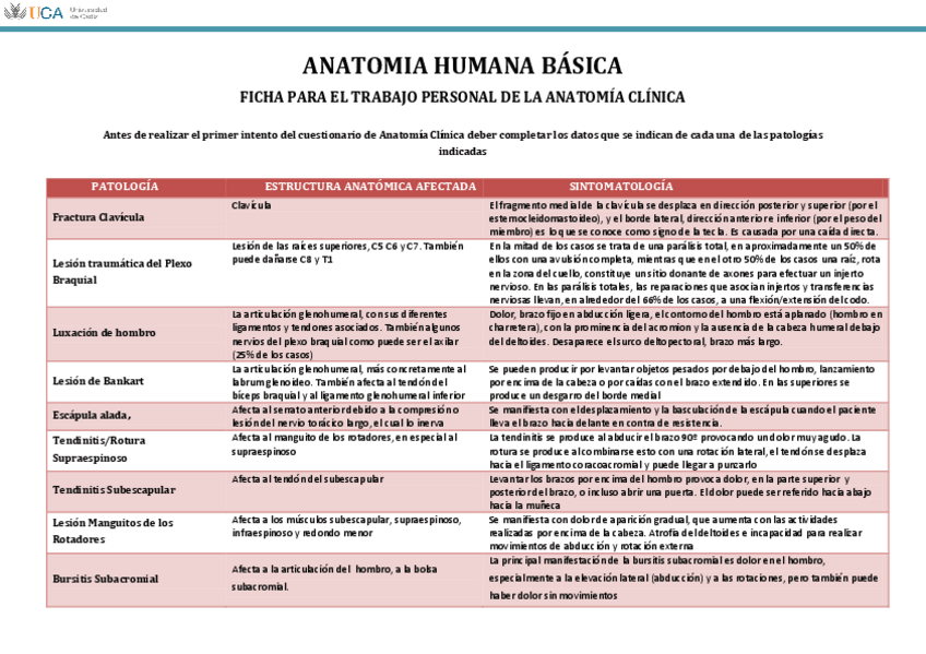 Miniatura del documento Ficha Trabajo Anatomía clínica MS.pdf