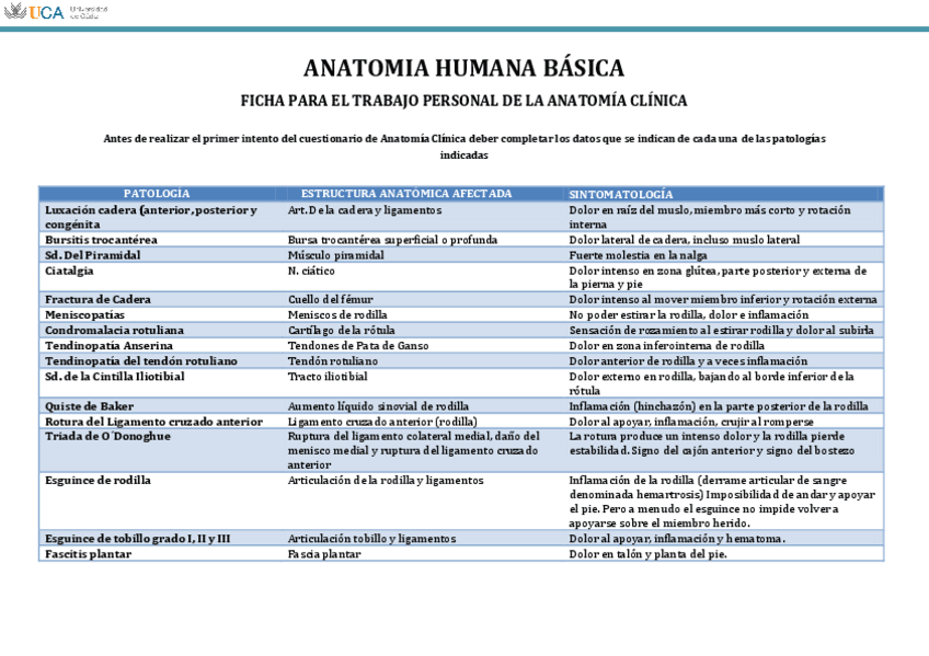 Miniatura del documento Ficha Trabajo Anatomía clínica MI.pdf