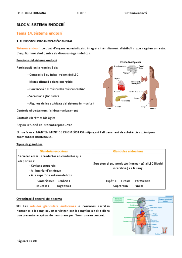 Miniatura del documento bloc-5-T14-19.pdf
