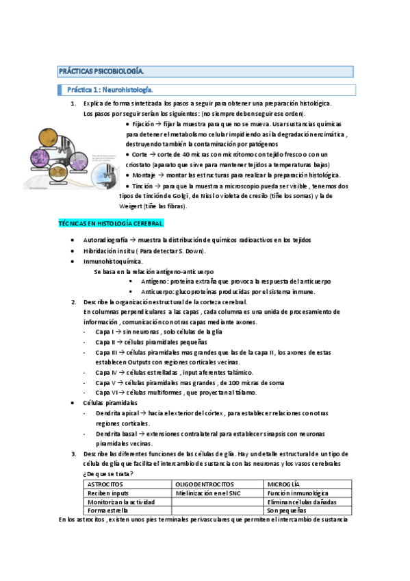 Miniatura del documento PRACTICAS-PSICOBIOLOGIA.pdf