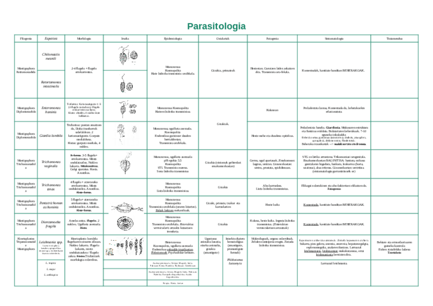 Miniatura del documento MPDtaula.pdf