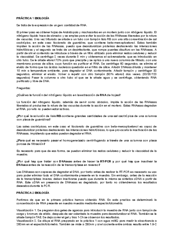 Miniatura del documento PRACTICAS-BIOLOGIA.pdf