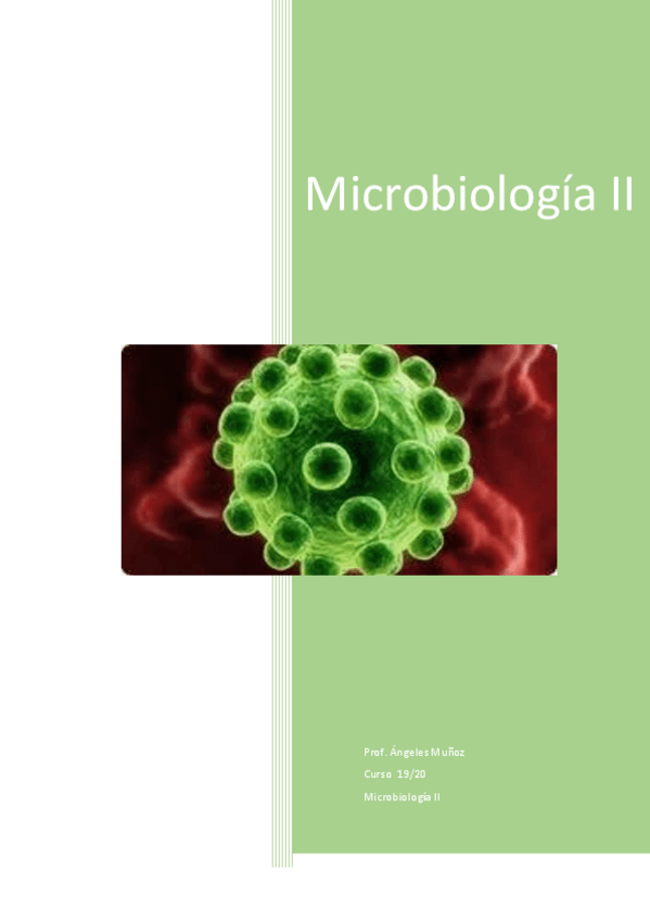 Miniatura del documento Micro-II-def-.pdf