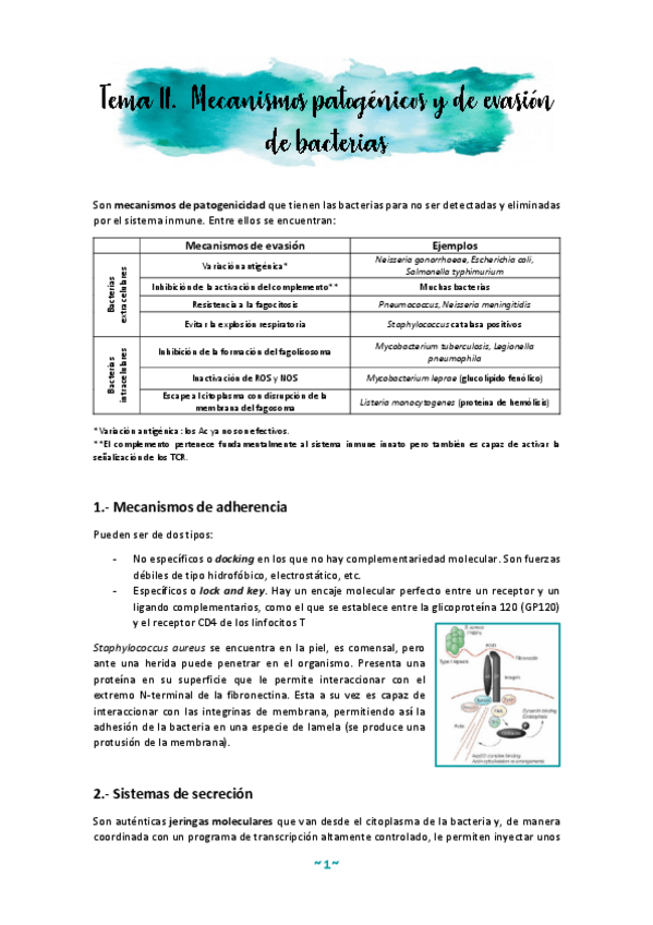 Miniatura del documento Tema-2.pdf