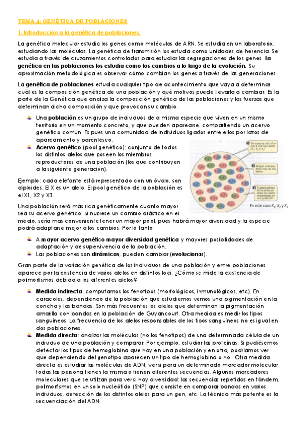 Miniatura del documento Tema-4.pdf